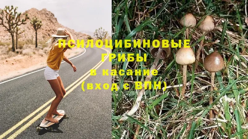 Псилоцибиновые грибы Magic Shrooms  наркотики  Сортавала 